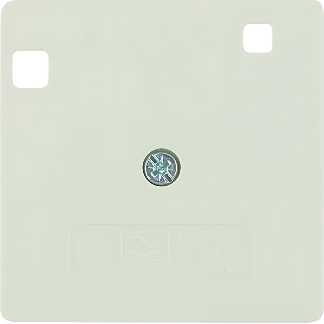 Berker Zentralstück 149602