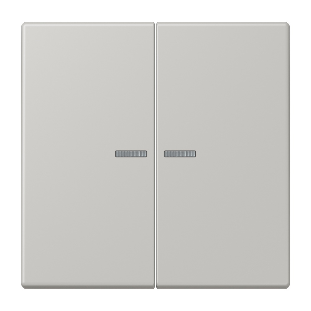 Jung Wippe mit Lichtleiter für Taster 2fach LC102KO5205