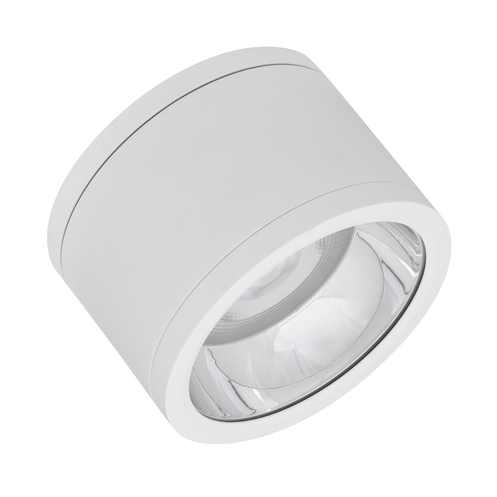 Ledvance Osram Anbau Downlight 769137