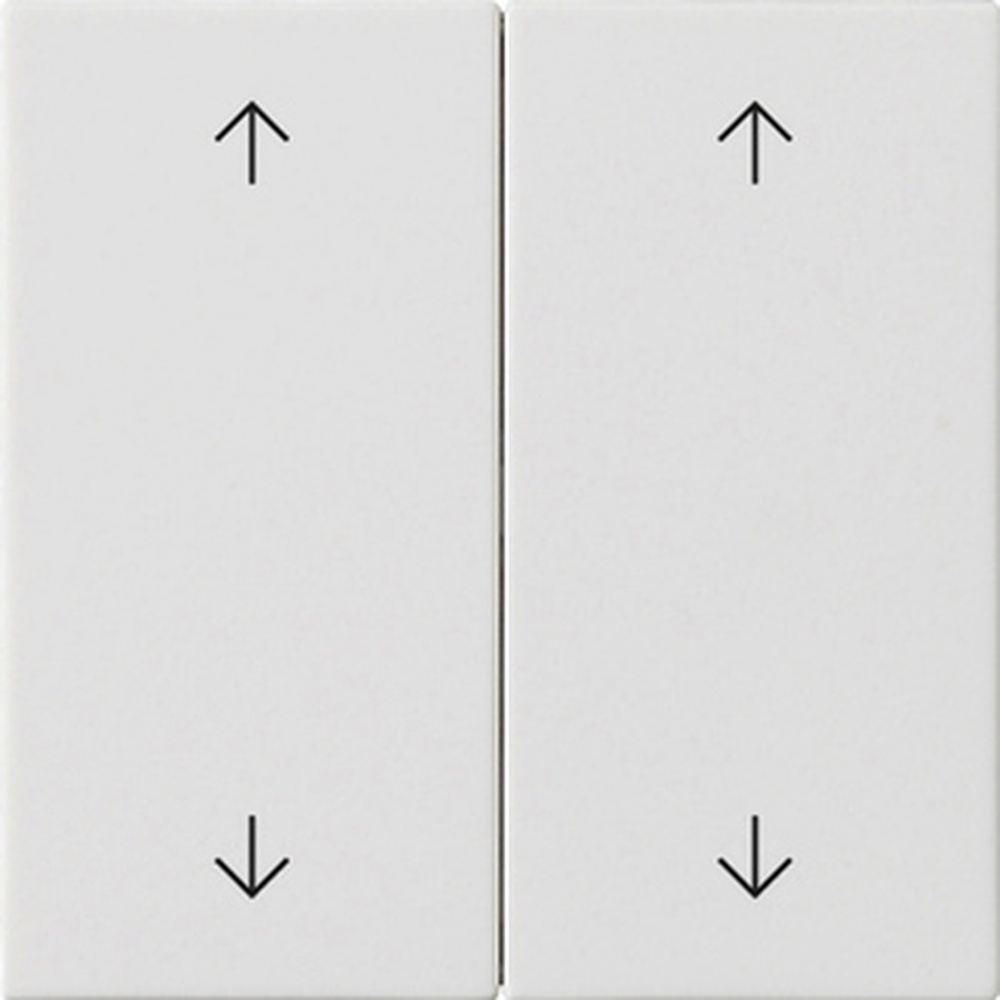 Gira Wippe 2fach 538727