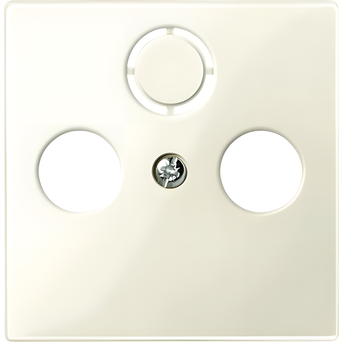 Merten Zentralplatte 296744