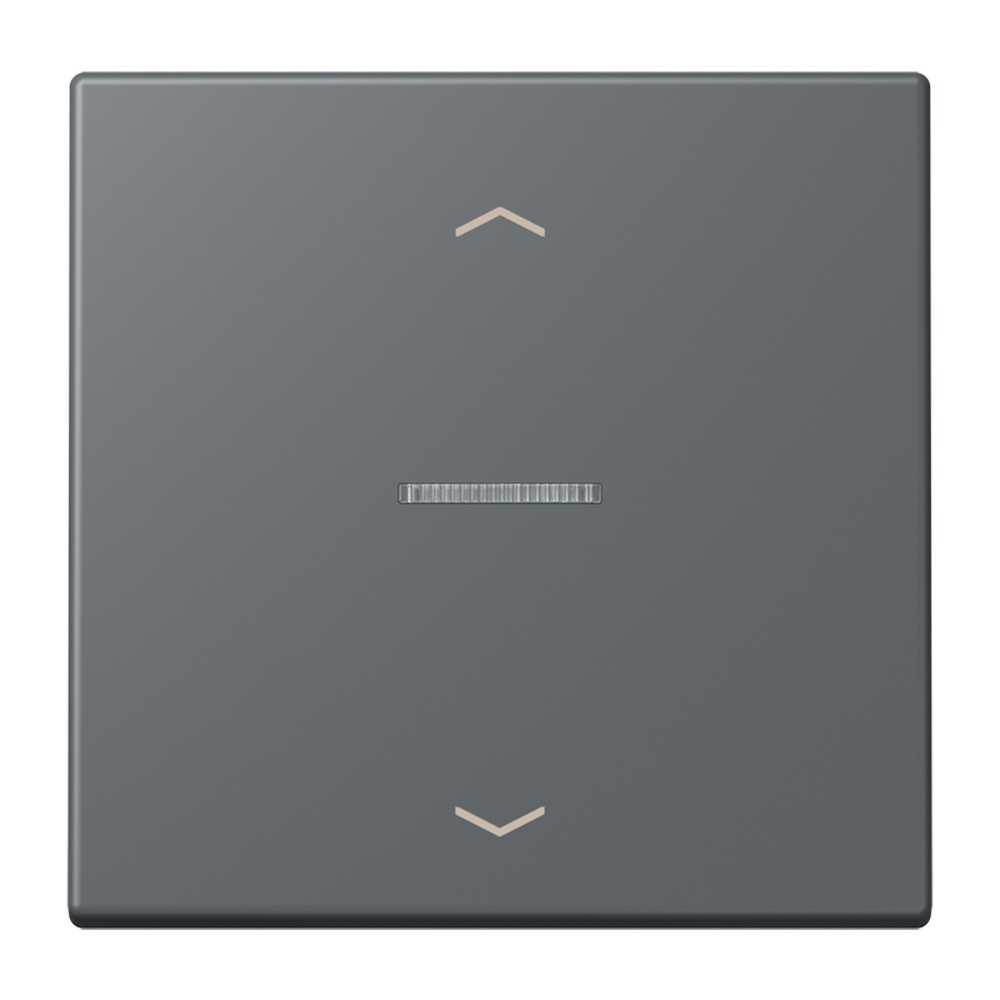 Jung Wippe mit Lichtleiter LC101KO5P202