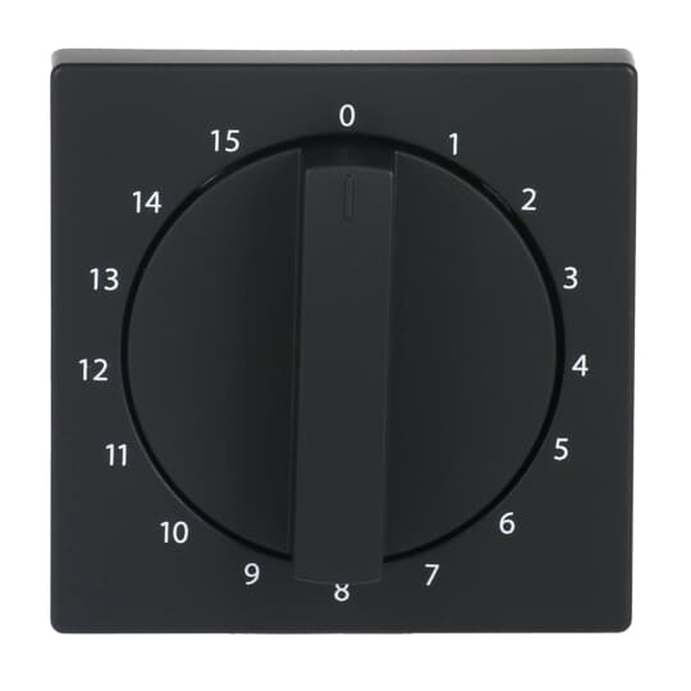 Busch-Jaeger Zentralscheibe 1770-885-103 Nr. 2CKA001753A0261