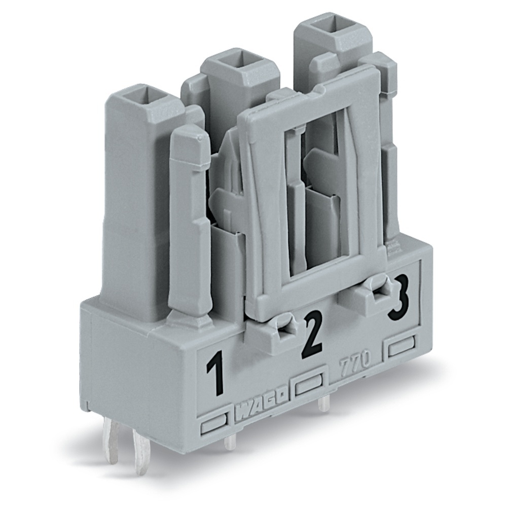 Wago Buchse 770-843/062-000