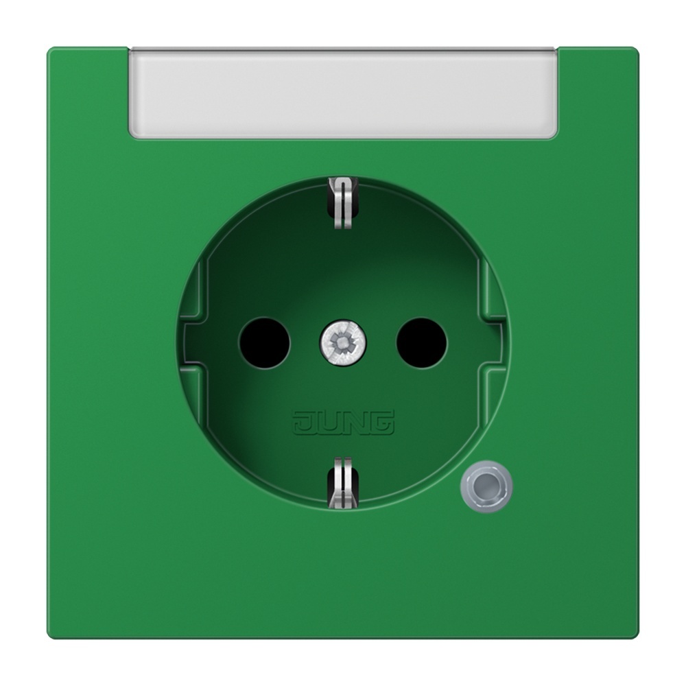 Jung SCHUKO Steckdose LS1520INAKOGN