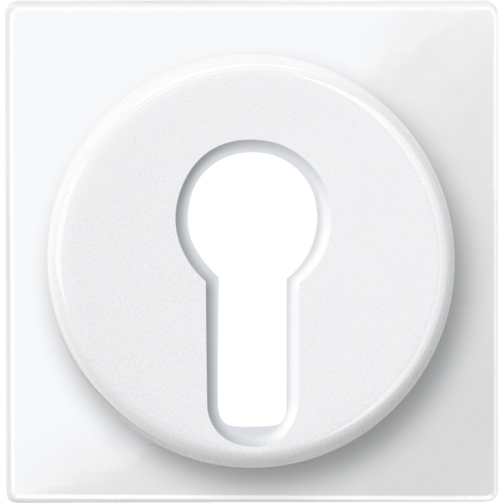 Merten Zentralplatte 319519