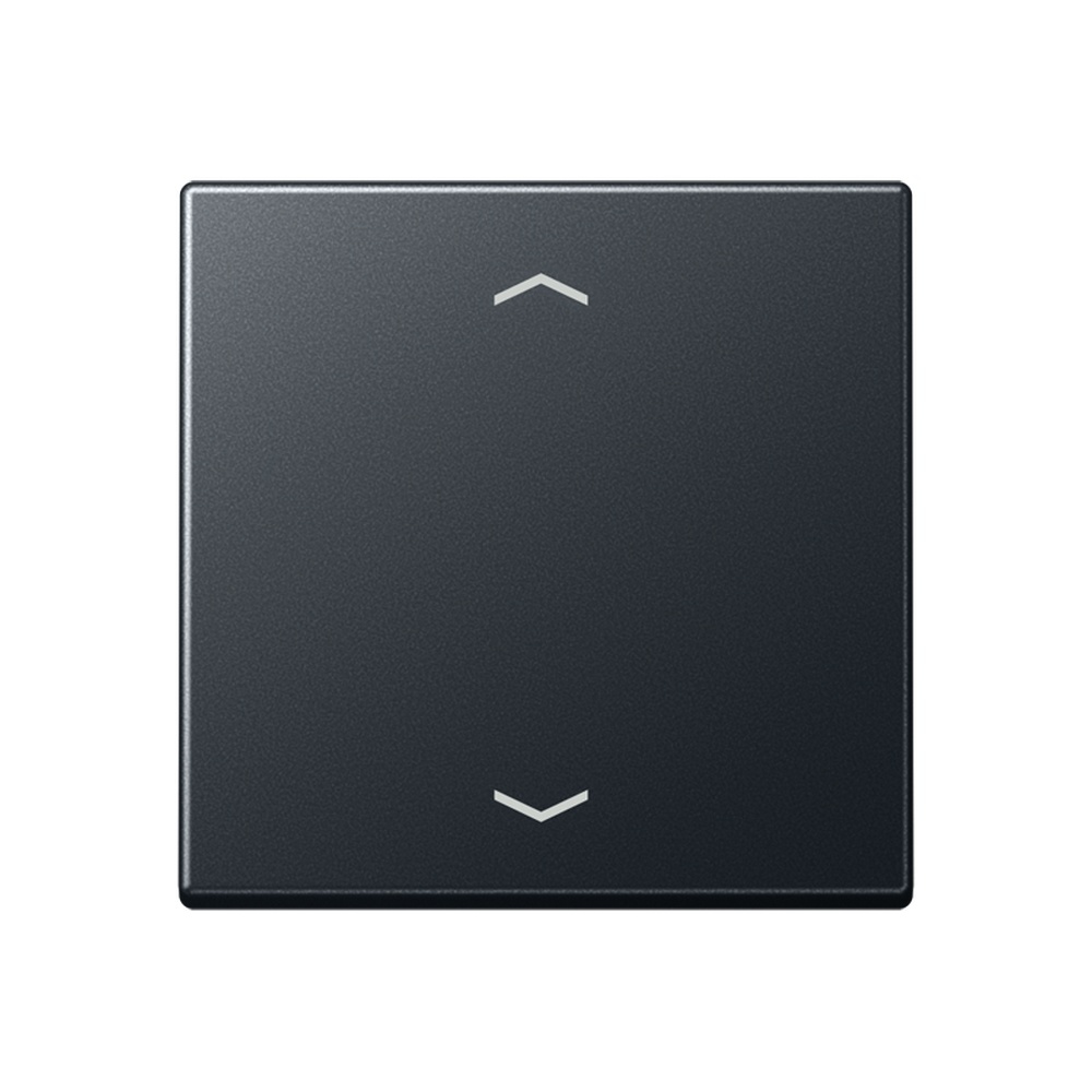 Jung Steuertaste A1700BFPANM