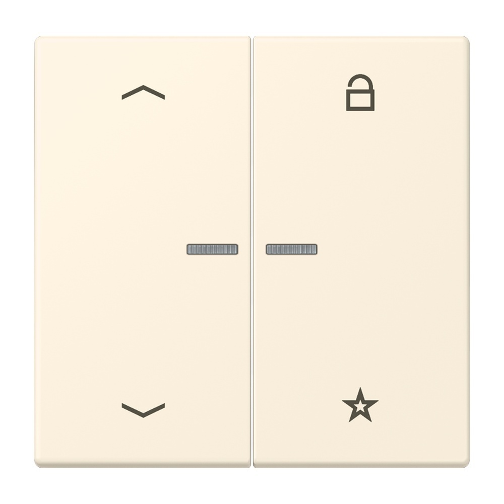 Jung Taster FMLC1701P245