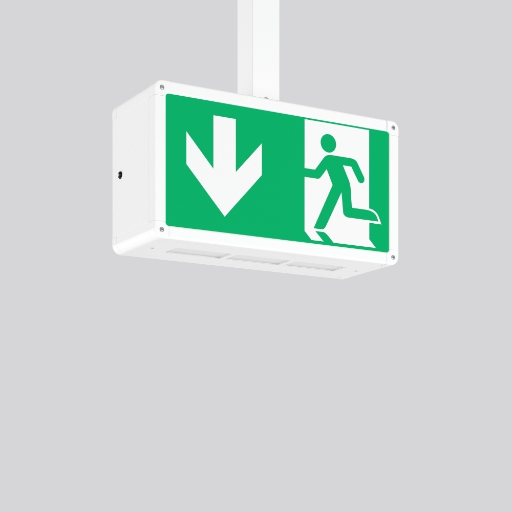 RZB Pendelleuchte 672711.002.1.89