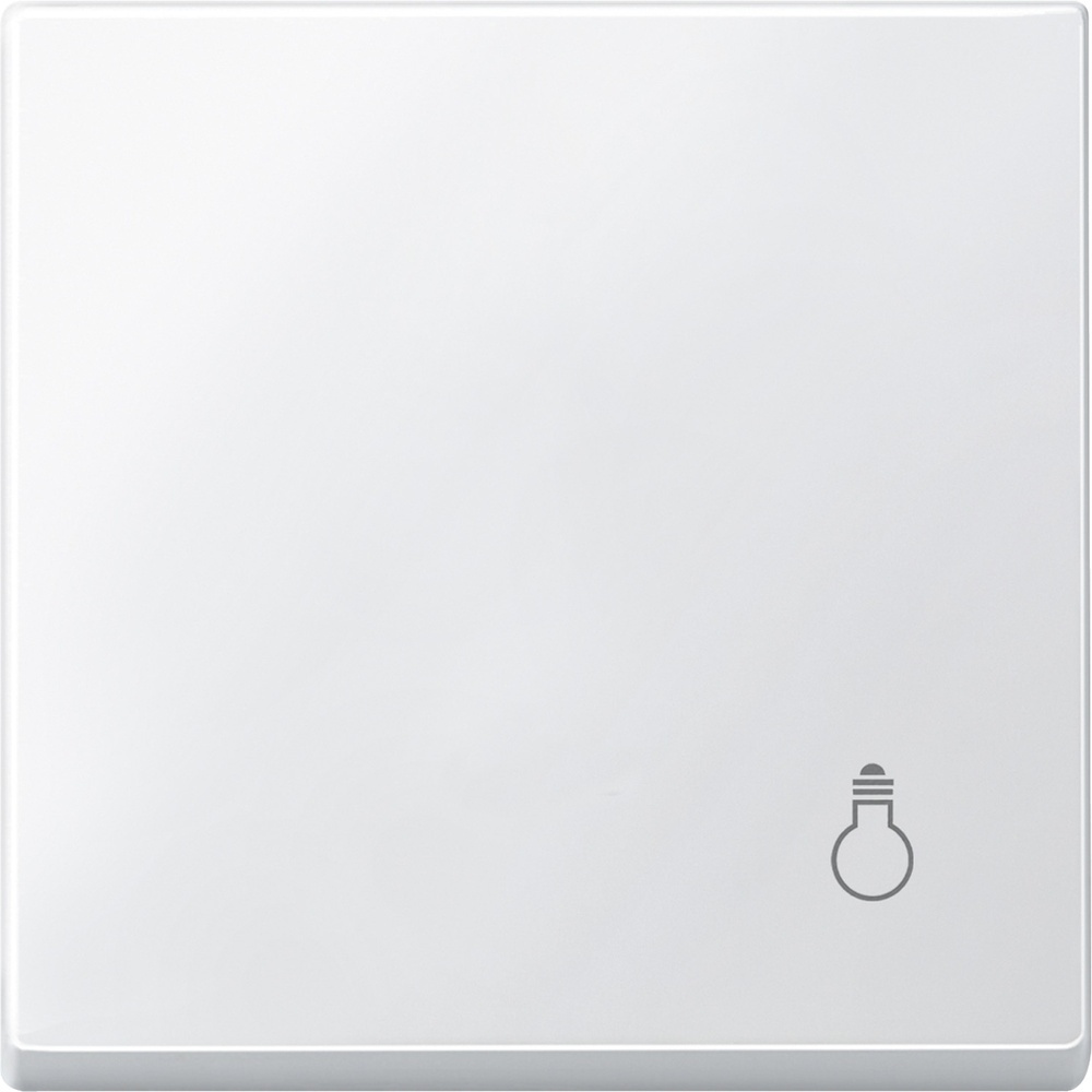 Merten Wippe MEG3302-0419