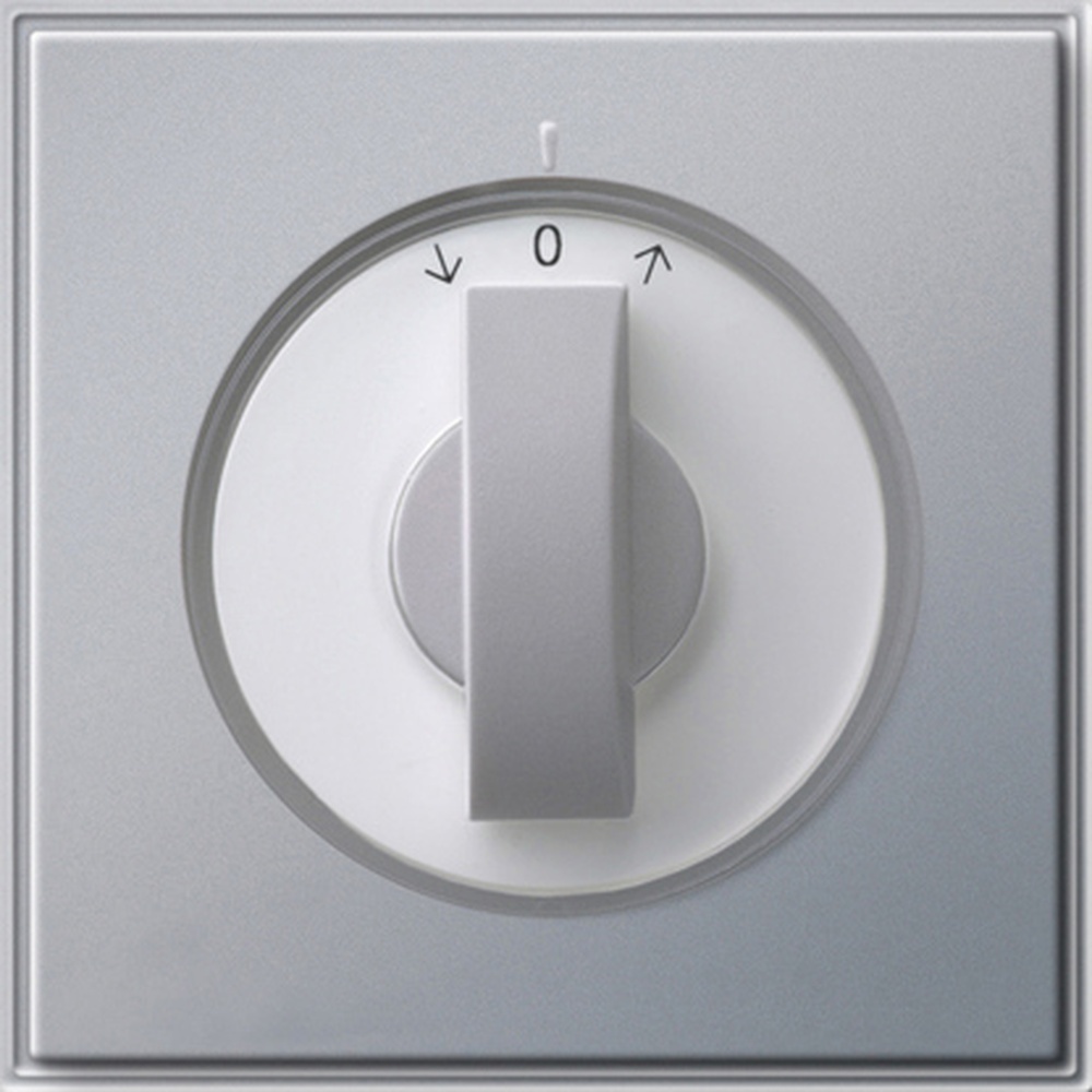 Gira Abdeckung Knebel 066665