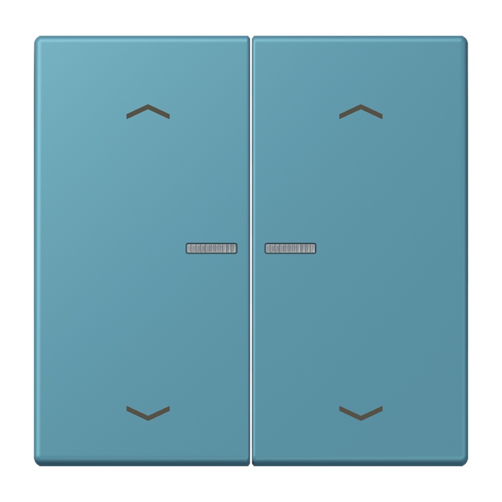 Jung Wippe mit Lichtleiter LC102KO5P212