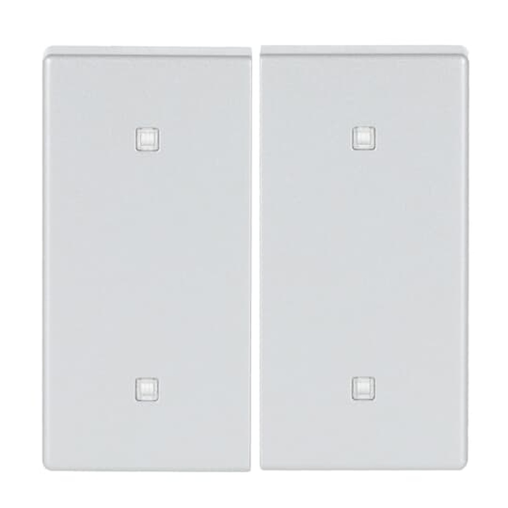 Busch-Jaeger Wippe Elektroniktaster 2fach 2570-20-83 Nr. 2CKA001751A3270