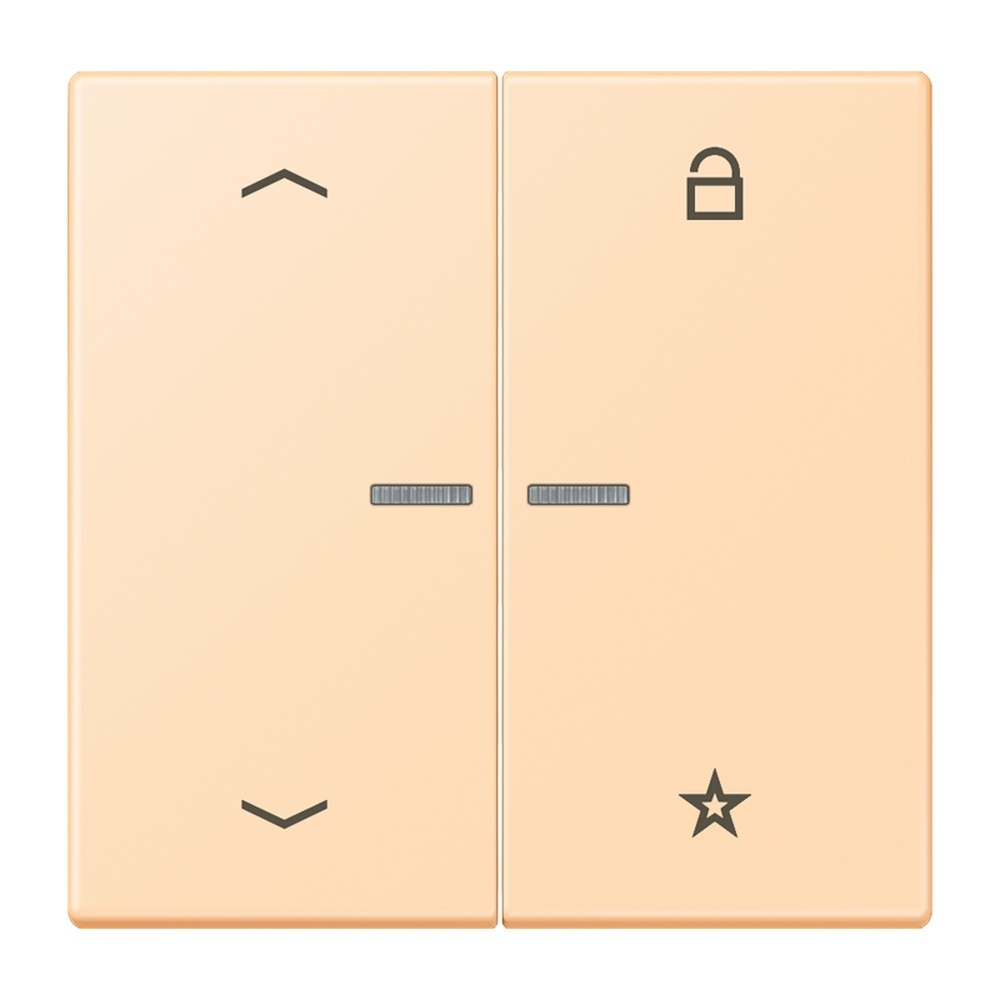 Jung Taster FMLC1701P223