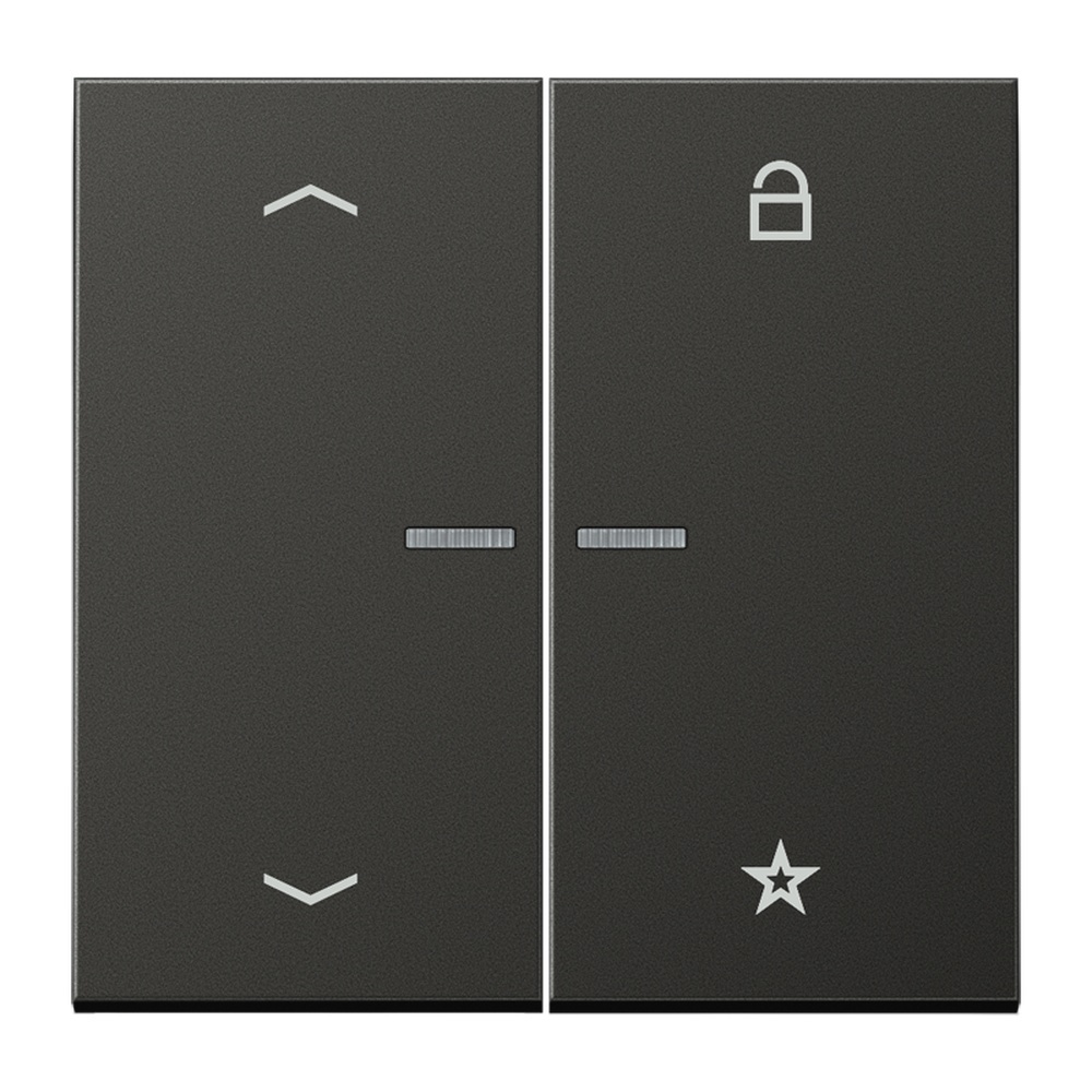 Jung eNet Funk Steuertaste FMAL1701PAN