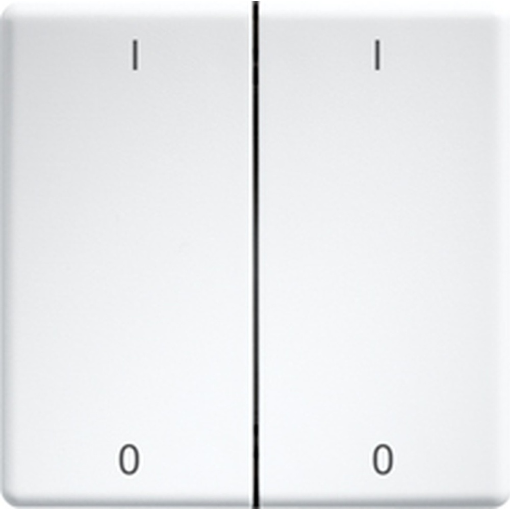 ELTAKO Doppelwippen 30000987 Typ DW-FT55-wg+IO