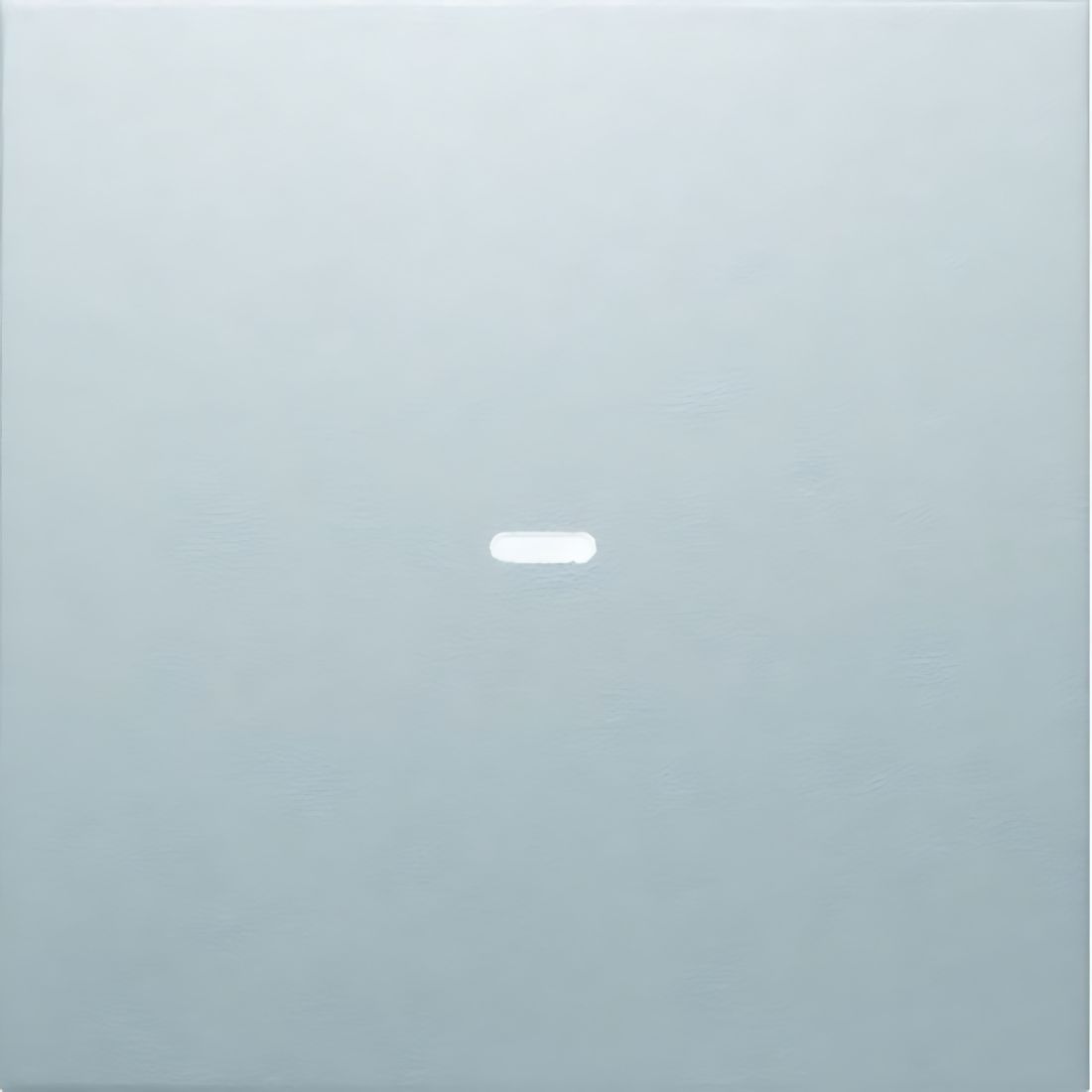 Berker Abdeckung 80960283