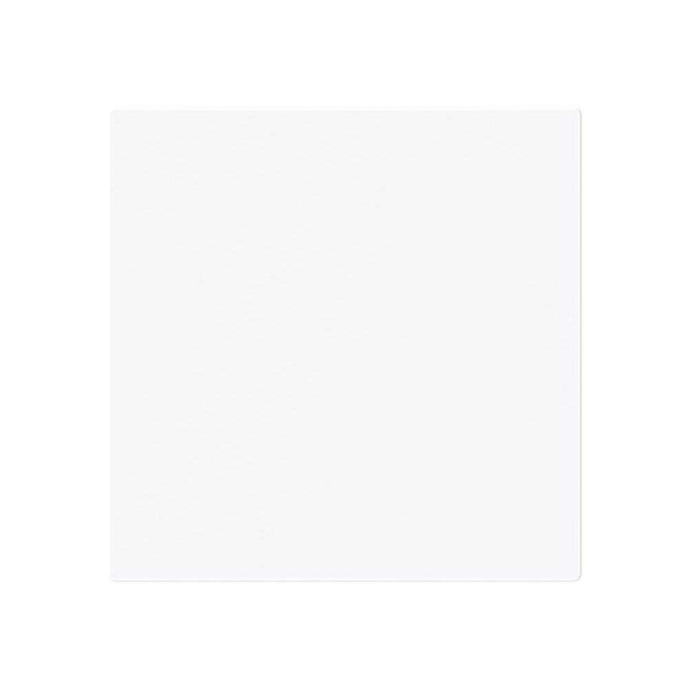 Busch-Jaeger Zentralscheibe 1746-44G Typ 2CKA001753A9917