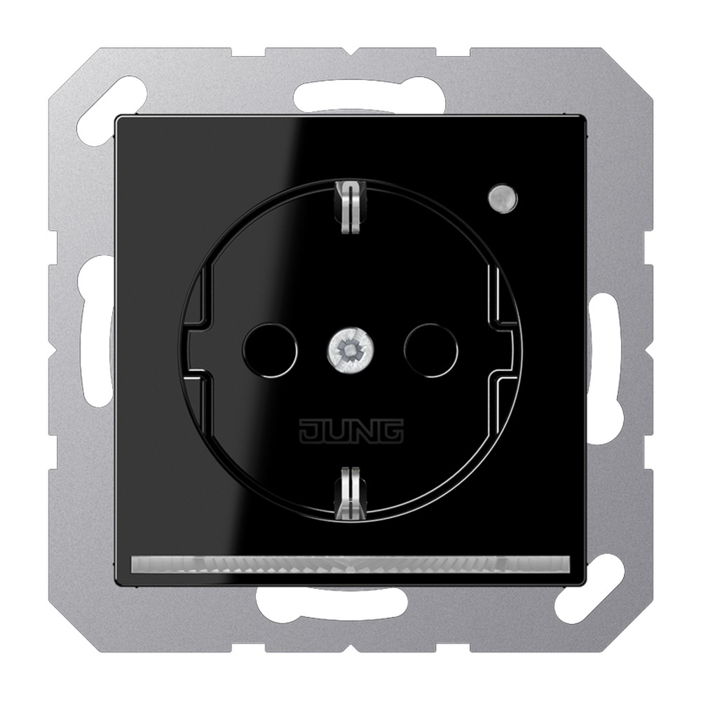 Jung SCHUKO Steckdose A1520-OSWLNW