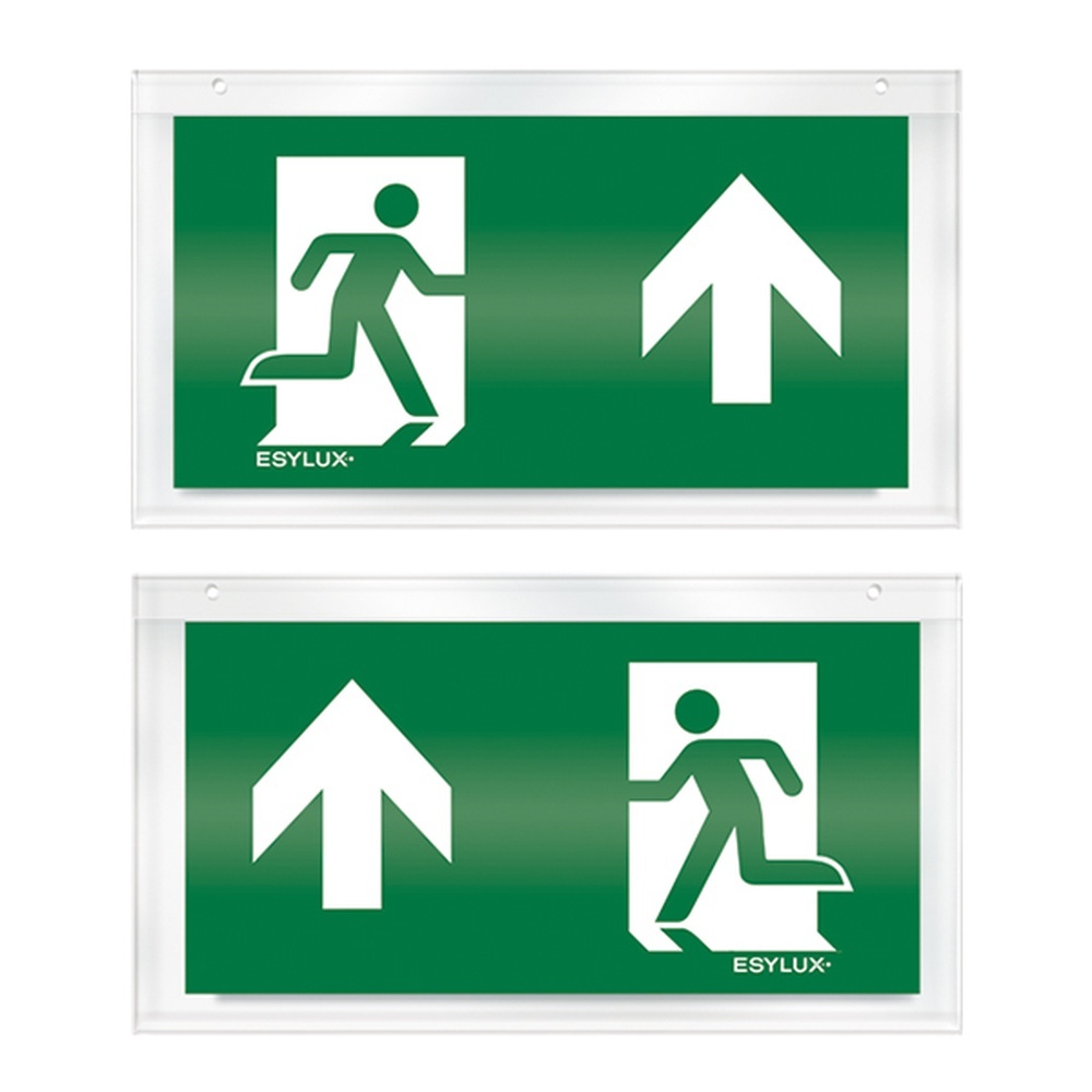 ESYLUX Piktogrammscheibe EN10032516 Typ Piktogramm-Scheibe 32 zweiseitig oben/oben