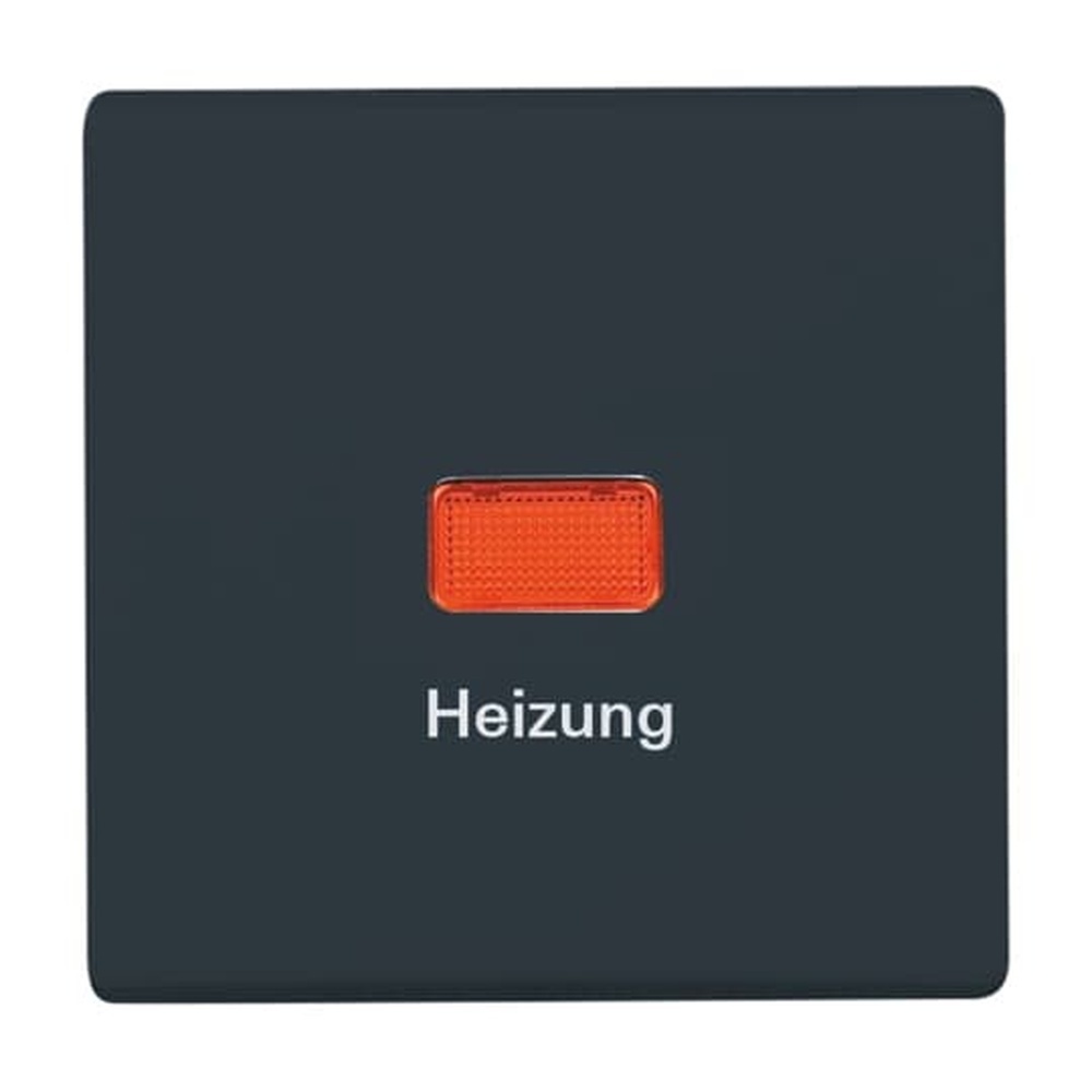 Busch-Jaeger Wippe 2102 H-35 Nr. 2CKA001731A1684