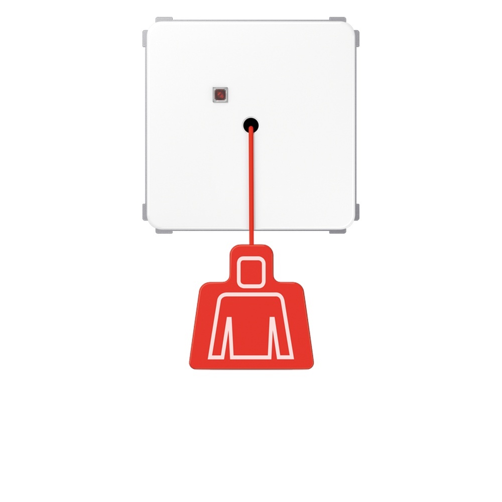 Jung Zugtaster NRS CD 0834 ZT WW