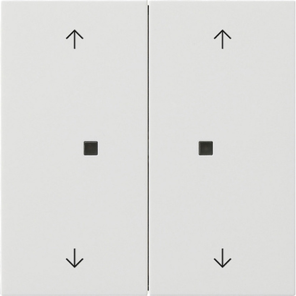 Gira Wippe 2fach 5386112