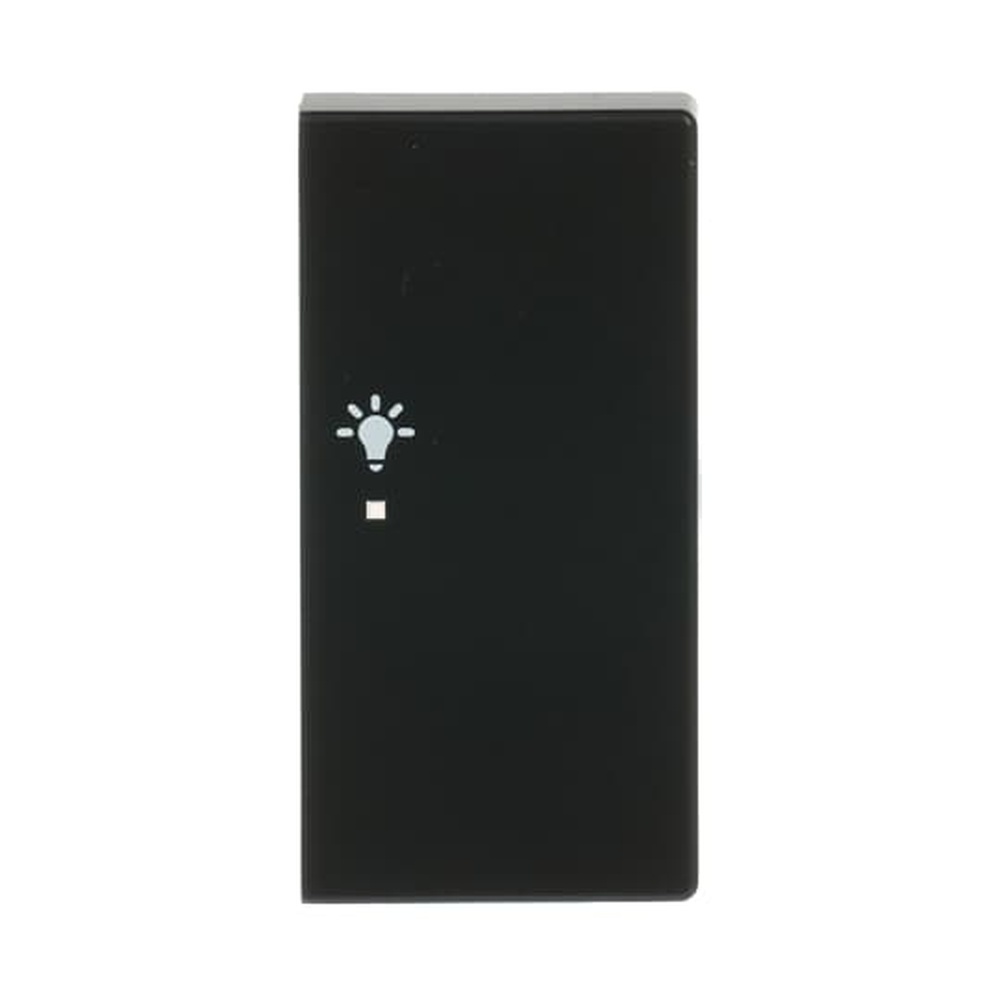 Busch-Jaeger Wippe 6231-22-885 Nr. 2CKA006220A0509