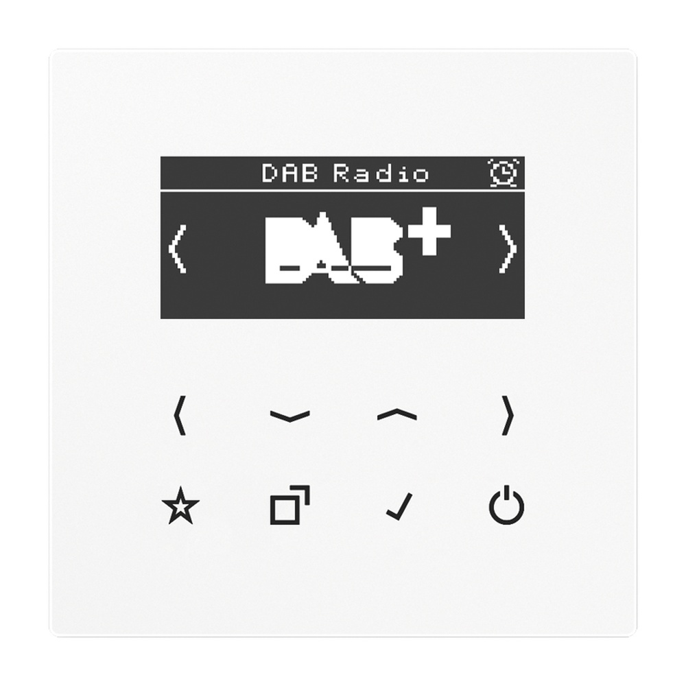 Jung Smart Radio DABLSWW