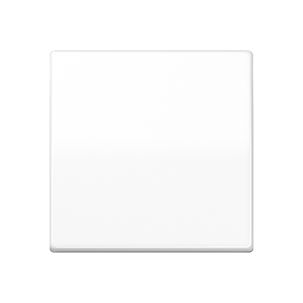 Jung Steuertaste AS1700WW