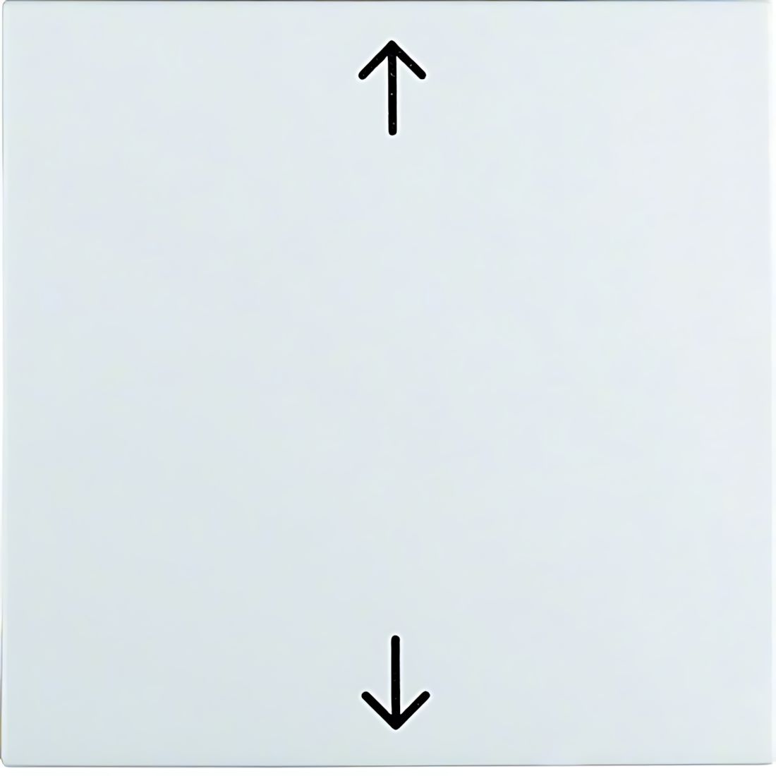 Berker Wippe 16201919