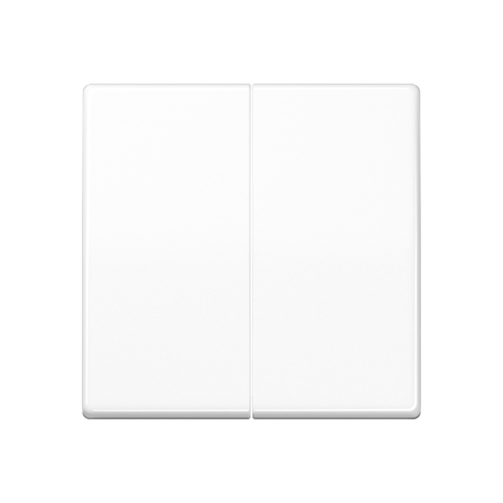 Jung Wippe AS 591-5 BF WW