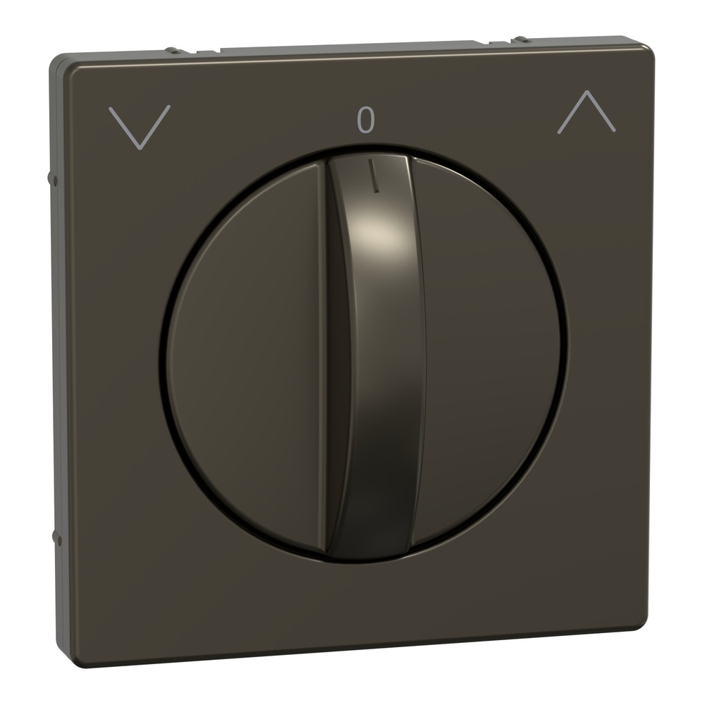 Merten Zentralplatte MEG3875-6052