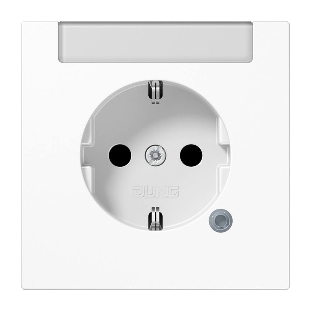 Jung SCHUKO Steckdose LS1520INAKOWW
