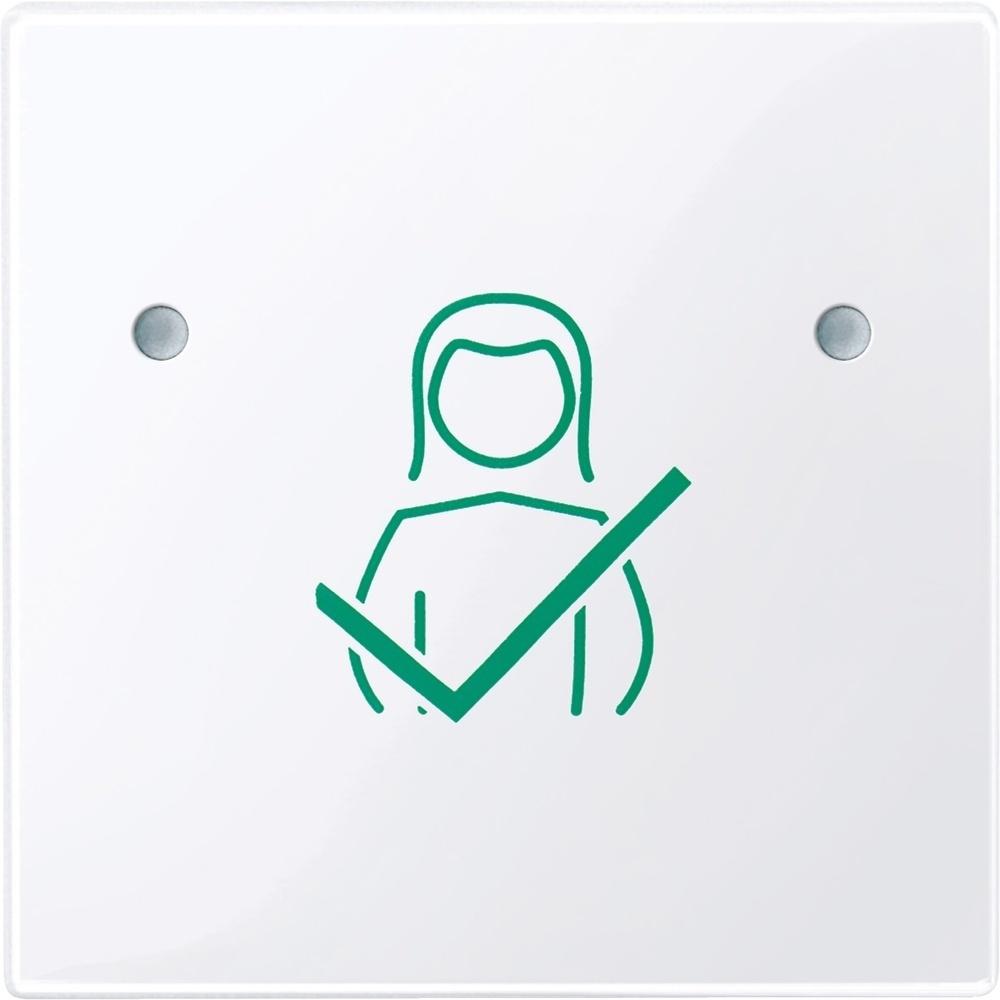 Merten Tastfläche 1fach MEG4841-0325