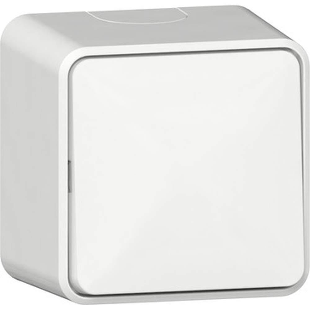 Gira Wippschalter 310613