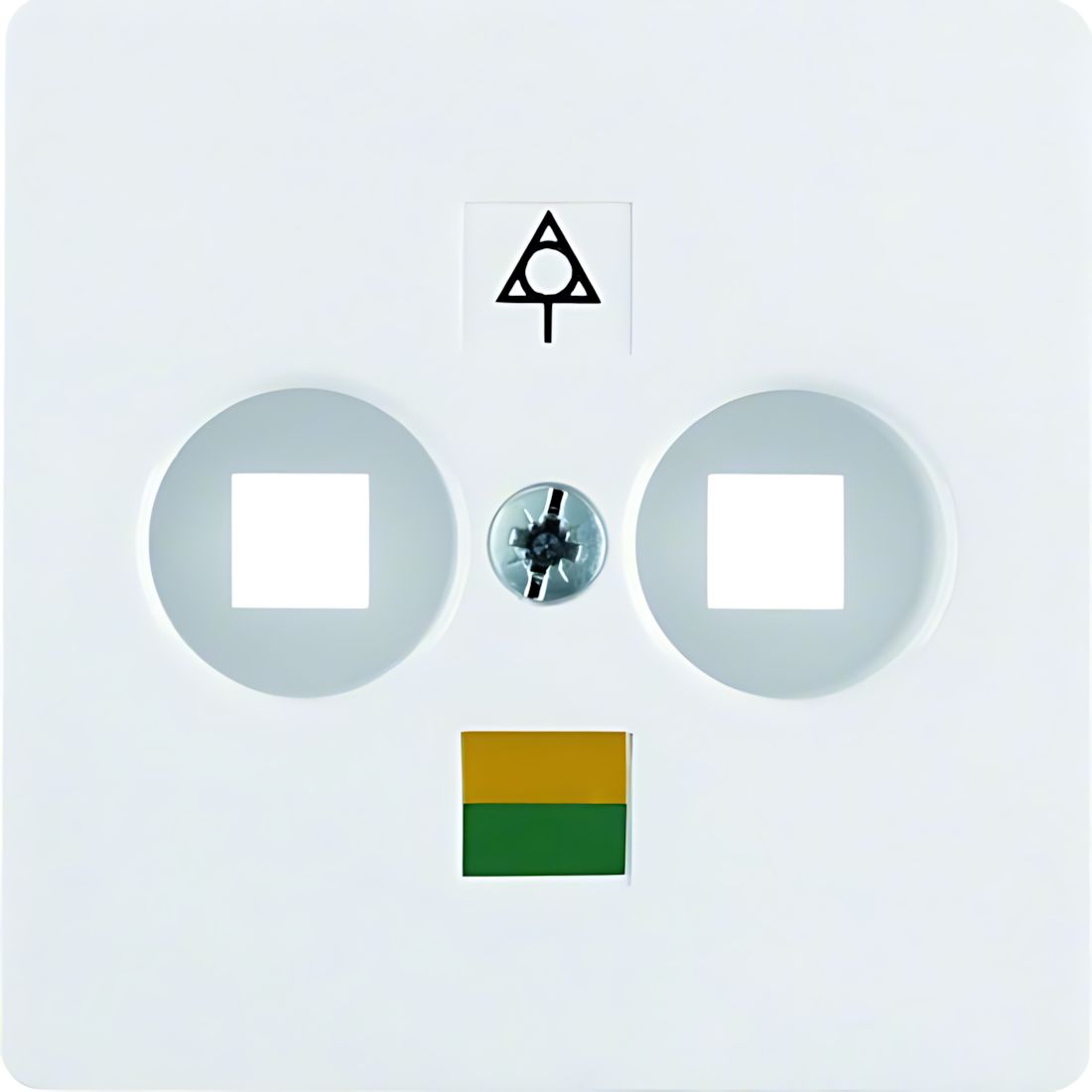 Berker Zentralplatte 140309