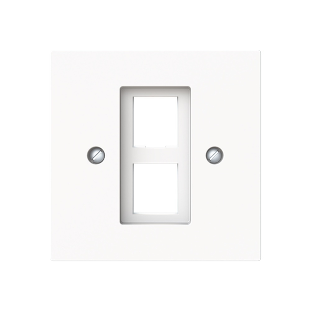 Busch-Jäger Zentralscheibe 2561-02-44M Nr. 2CKA001753A9927