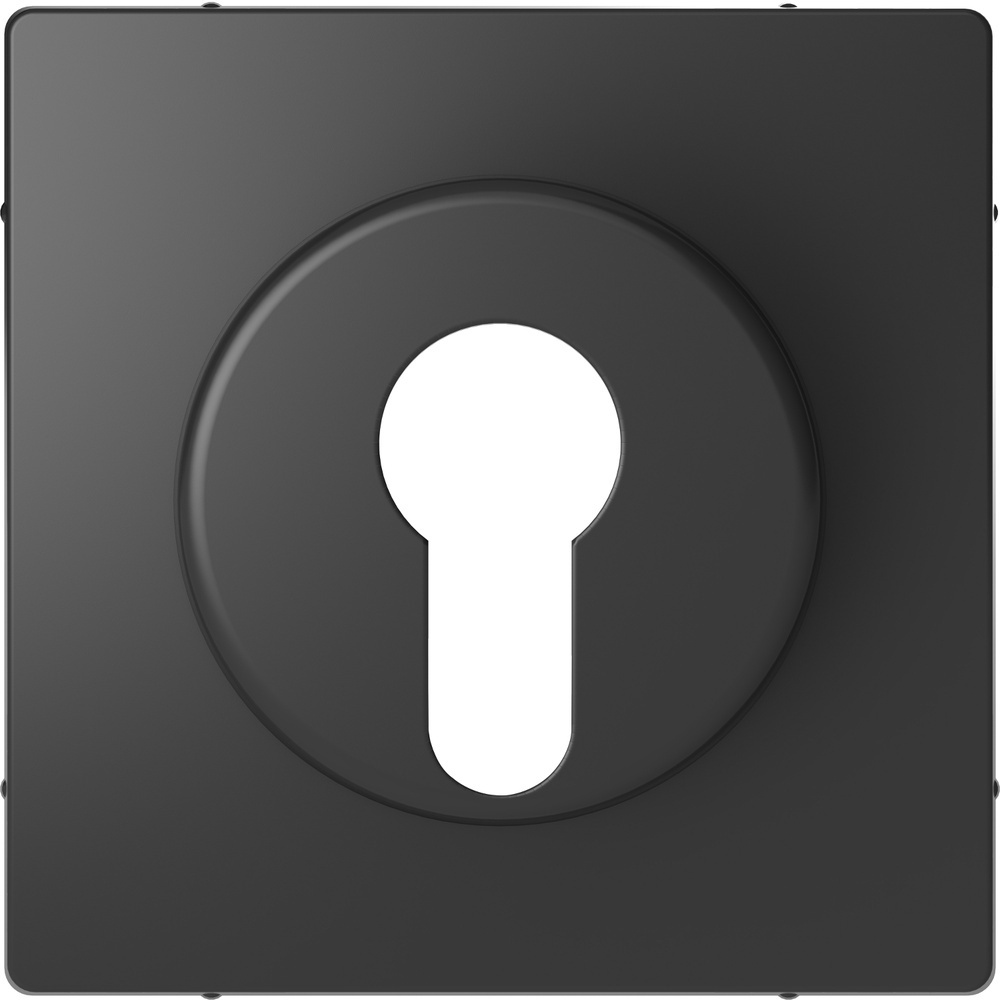 Merten Zentralplatte MEG3886-6034