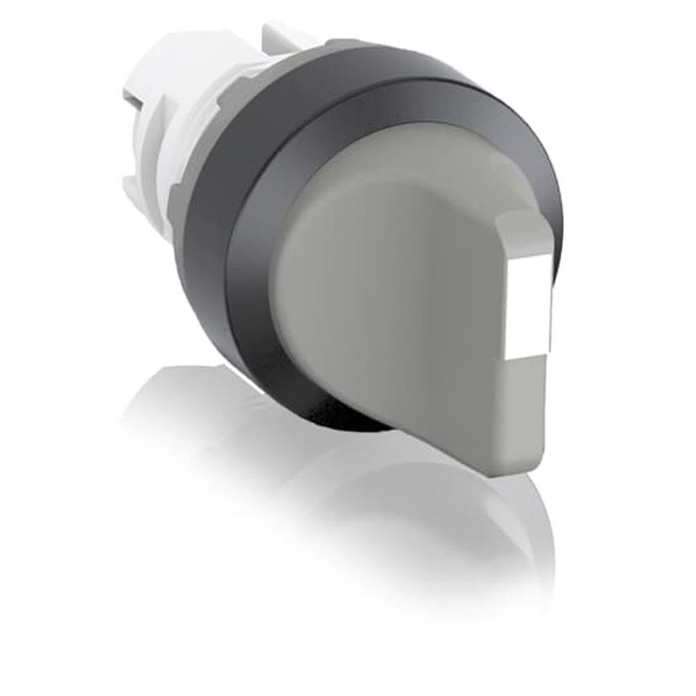 ABB Frontelement für Wahlschalter 1SFA611211R1007 Typ M3SS2-10U