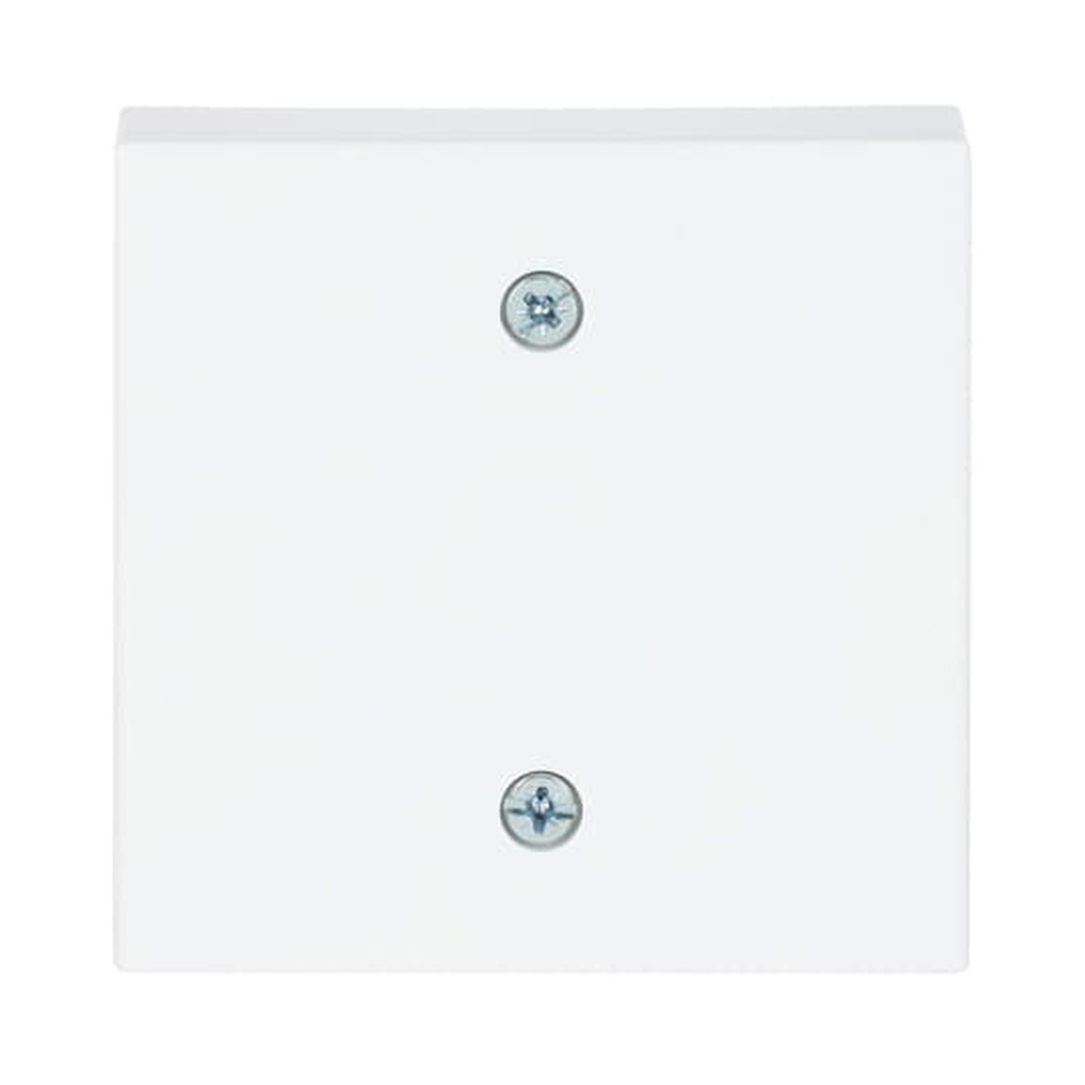 Busch-Jaeger Zentralscheibe 1796-84 Nr. 2CKA001753A0311