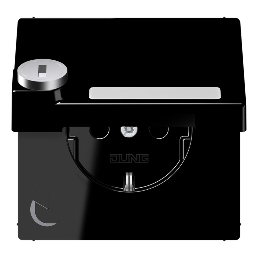 Jung Schutzkontakt Steckdose LS 1520 NAKLSL SW