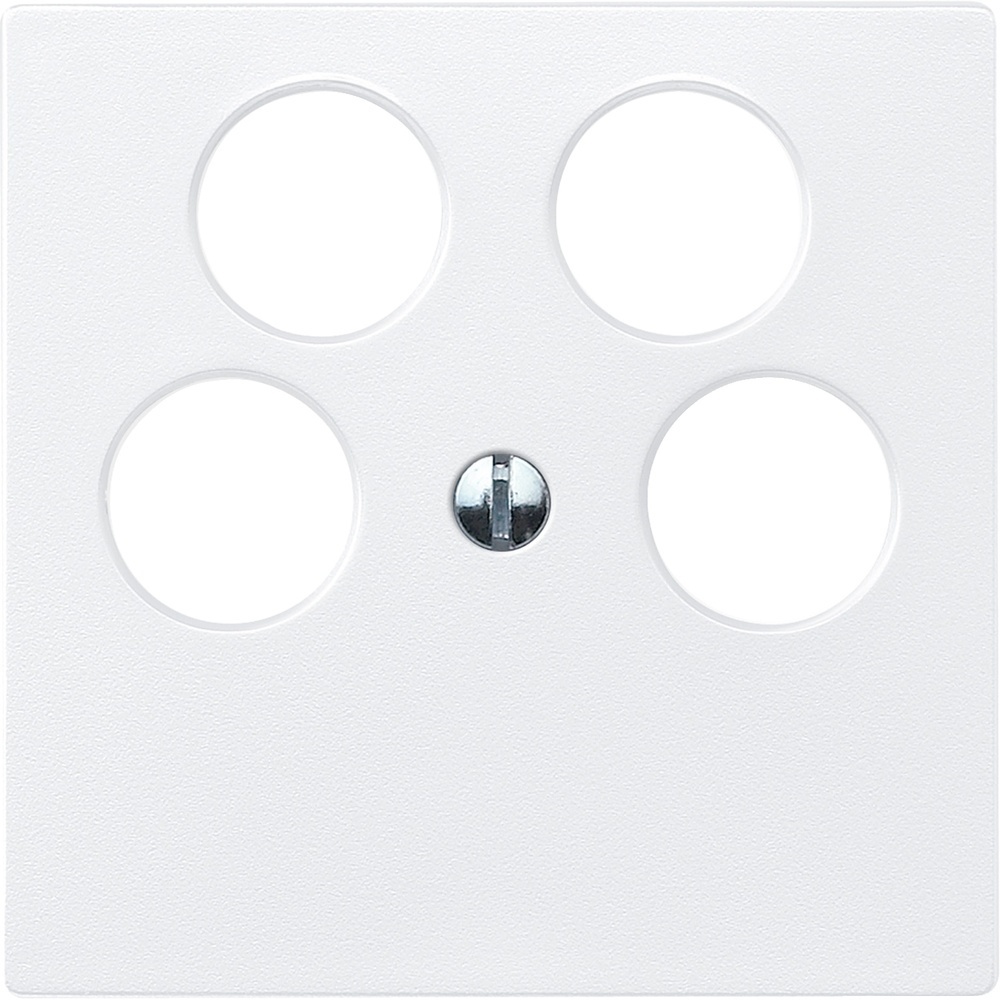 Merten Zentralplatte 295319