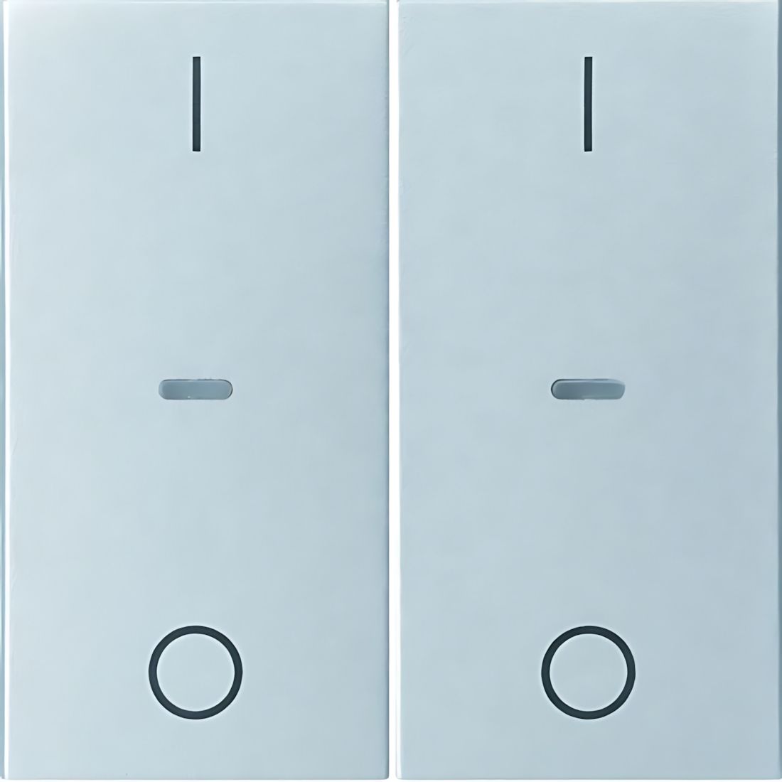 Berker Tastsensor Abdeckung 80962383