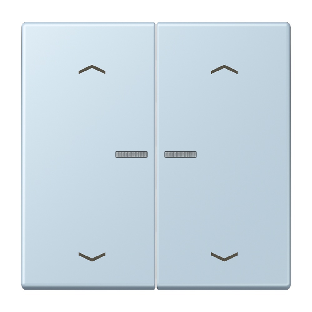 Jung Wippe mit Lichtleiter LC102KO5P208