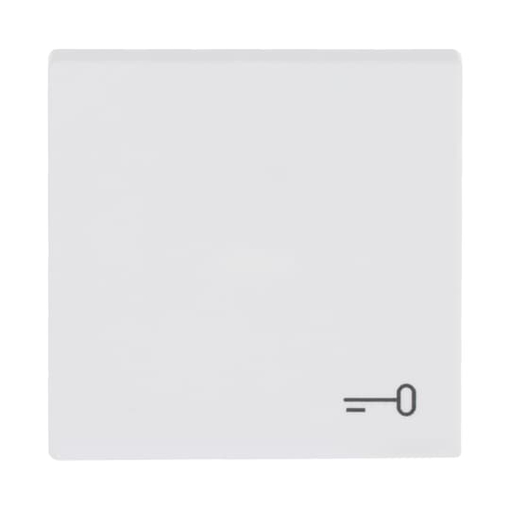 Busch-Jaeger Wippe 2520 TR-884 Nr. 2CKA001751A3201