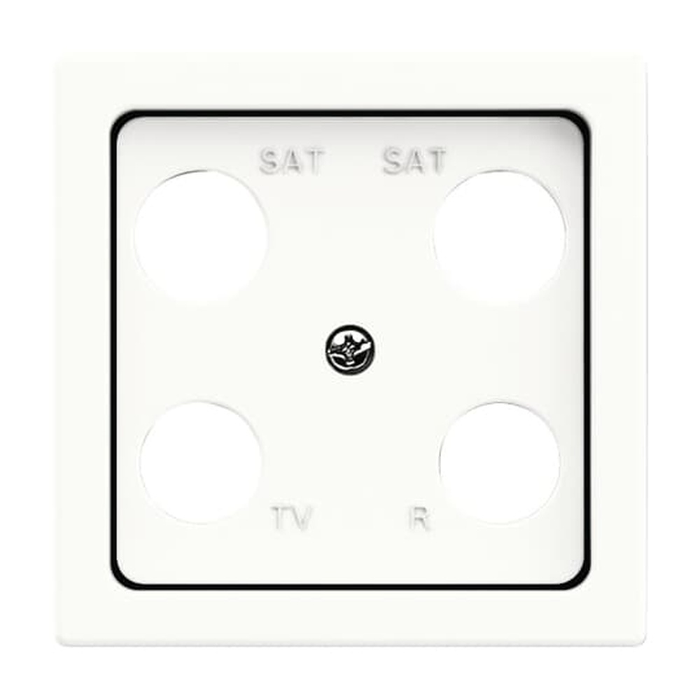 Busch-Jaeger Zentralscheibe 1743-04-884 Nr. 2CKA001724A4379