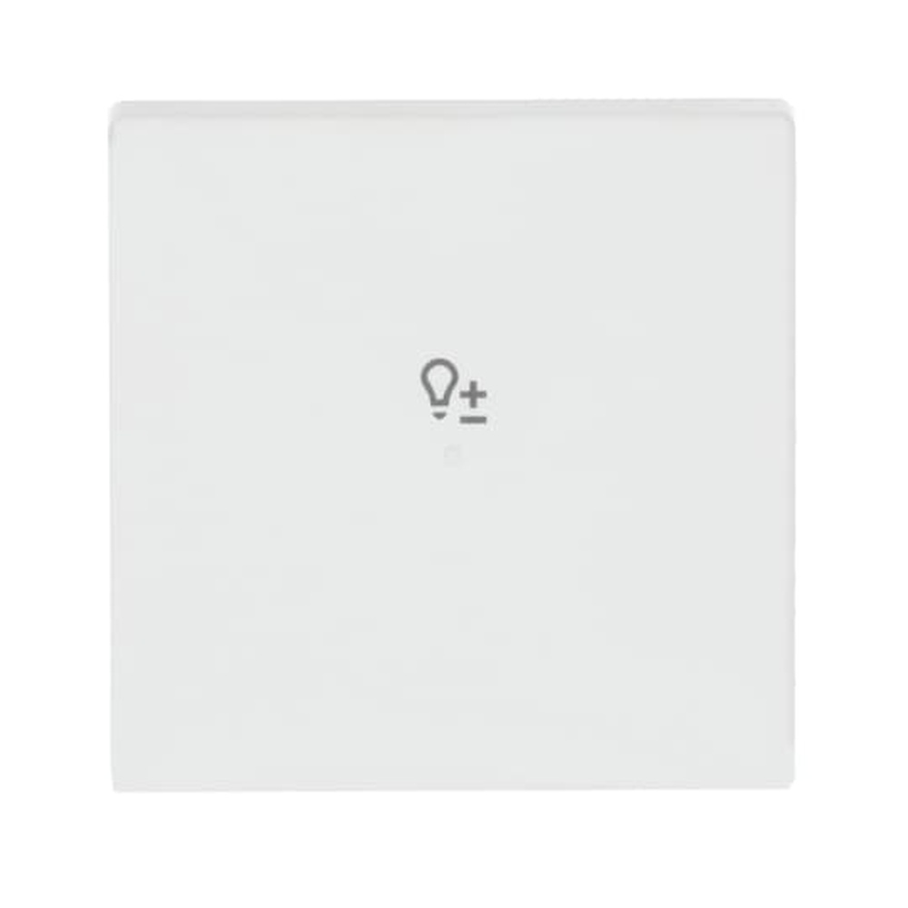 Busch-Jaeger Wippe 6234-10-884 Nr. 2CKA006220A0485