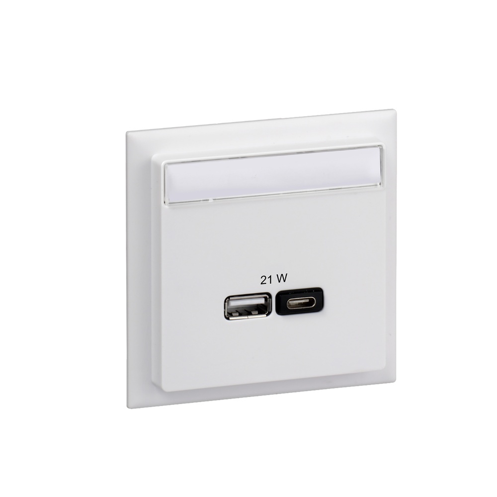 Schneider Electric USB Ladestation INS60522