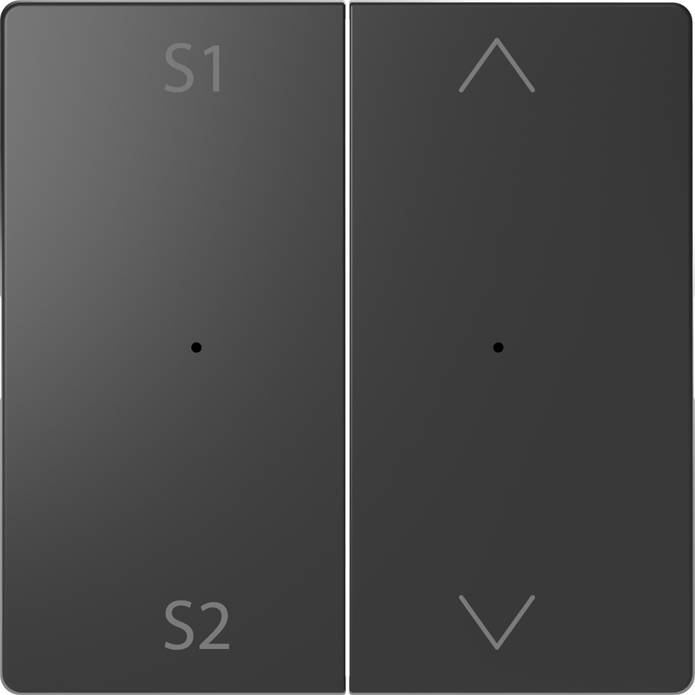 Merten Wippe MEG5227-6034